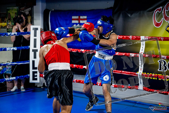 Cougar boxing June 7th 2025-0590