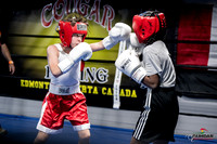 Cougar Boxing -0005