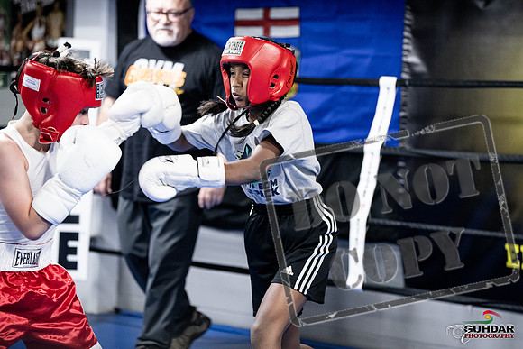 Cougar Boxing -0003