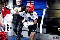 Cougar Boxing -0004
