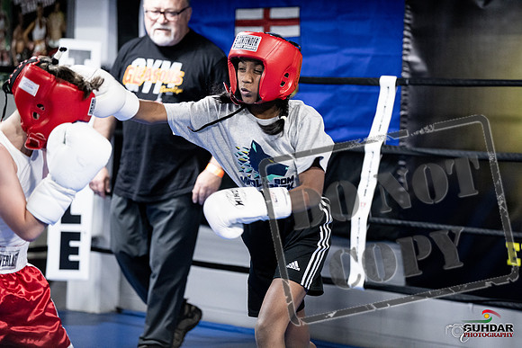 Cougar Boxing -0004