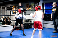 Cougar Boxing -0002