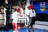 Cougar Boxing -0001