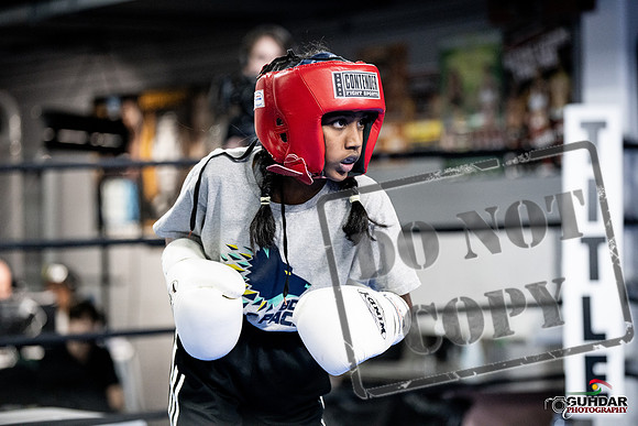 Cougar Boxing -0006