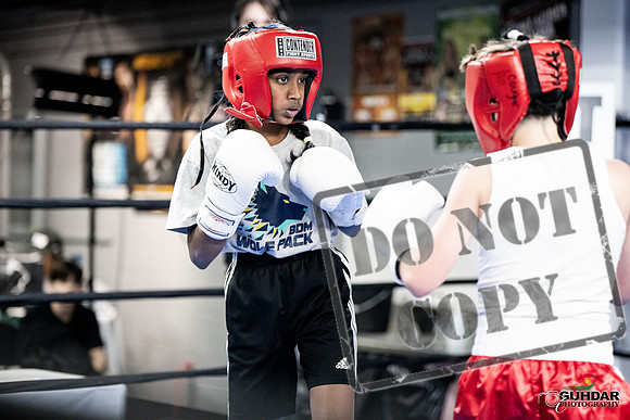 Cougar Boxing -0007