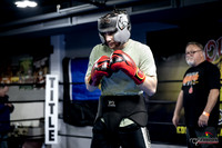 Cougar Boxing -0010