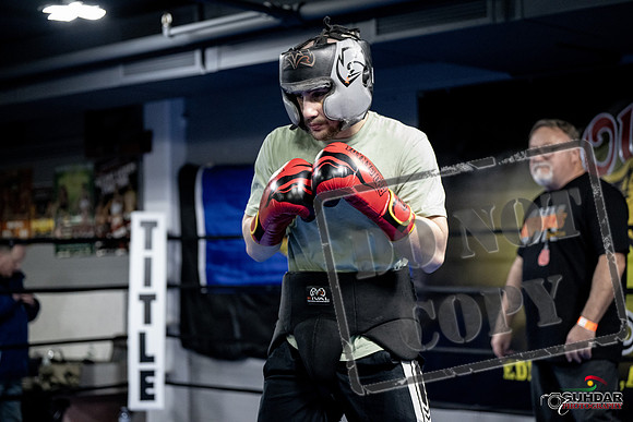Cougar Boxing -0010