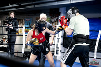 Cougar Boxing -0009