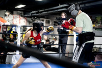 Cougar Boxing -0011