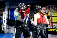 Cougar Boxing -0013