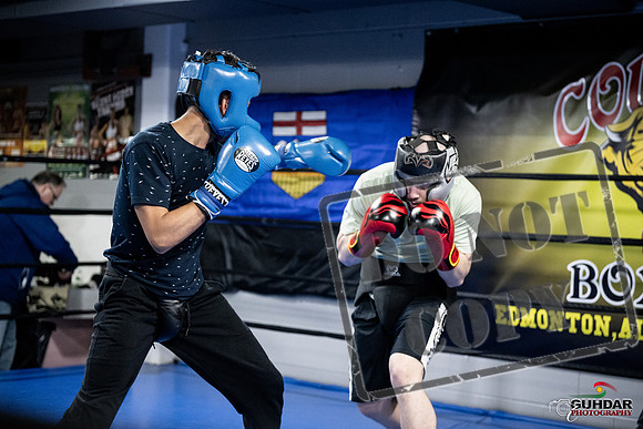 Cougar Boxing -0014