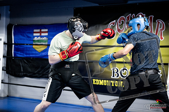 Cougar Boxing -0015