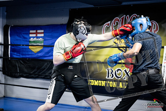 Cougar Boxing -0016