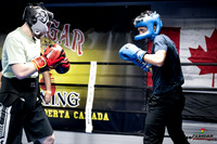 Cougar Boxing -0017