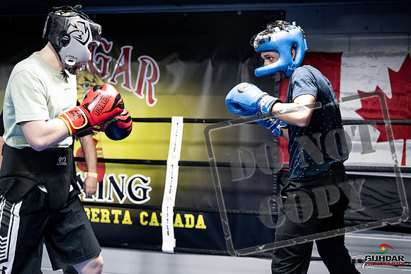 Cougar Boxing -0017