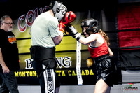 Cougar Boxing -0019