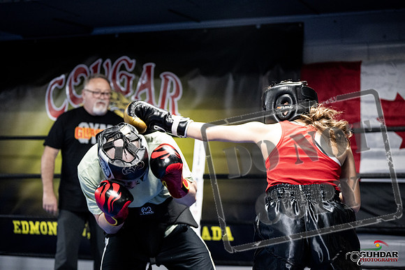 Cougar Boxing -0020