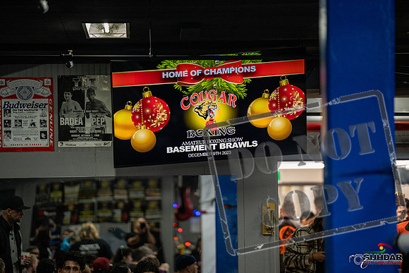 Cougar Boxing -0027