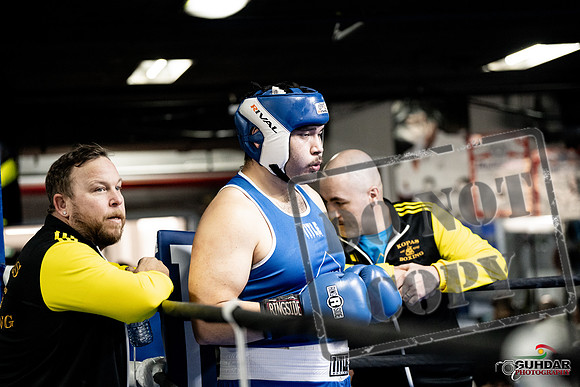 Cougar Boxing -0032