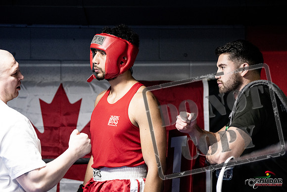 Cougar Boxing -0033