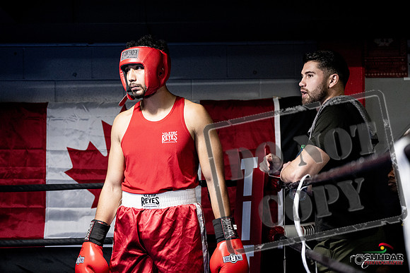 Cougar Boxing -0034