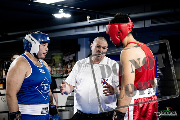 Cougar Boxing -0035