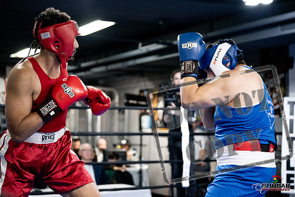 Cougar Boxing -0038