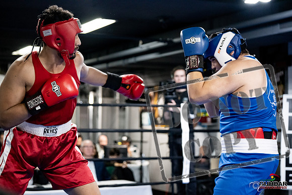 Cougar Boxing -0039