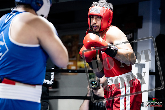 Cougar Boxing -0040