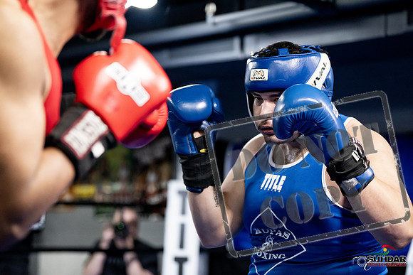 Cougar Boxing -0041