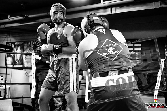 Cougar Boxing -0042