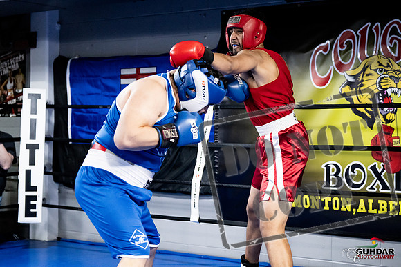 Cougar Boxing -0043