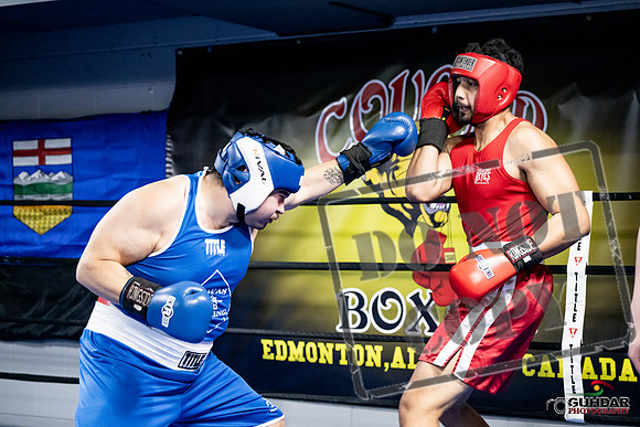 Cougar Boxing -0044