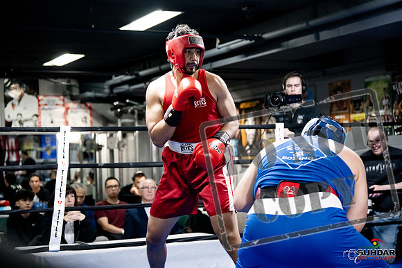 Cougar Boxing -0045