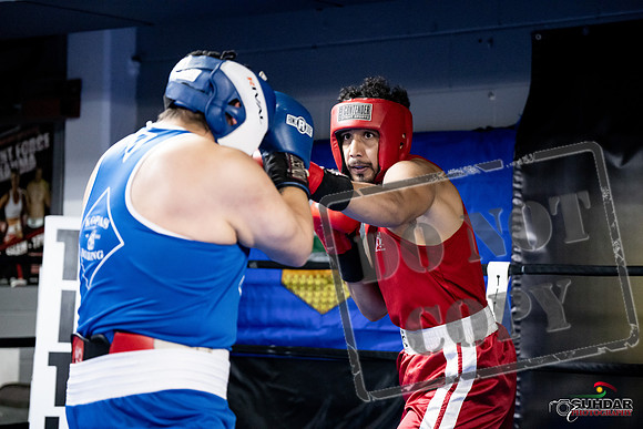 Cougar Boxing -0046
