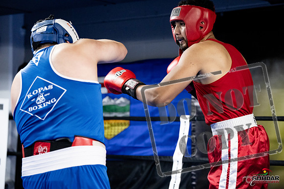 Cougar Boxing -0047