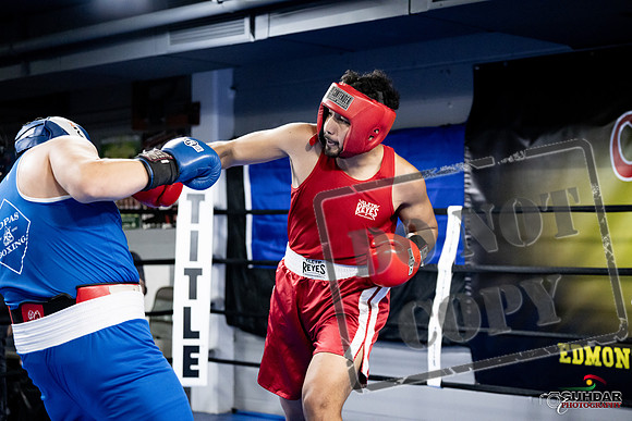 Cougar Boxing -0048