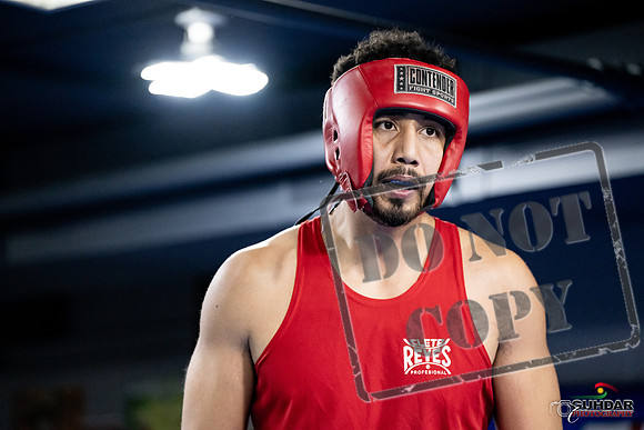 Cougar Boxing -0049
