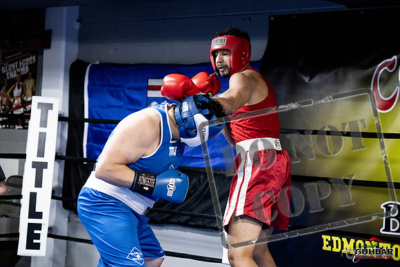 Cougar Boxing -0051