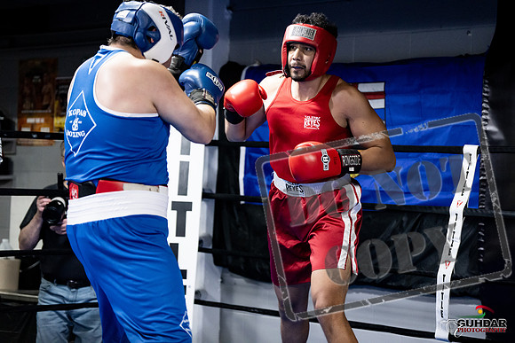Cougar Boxing -0056