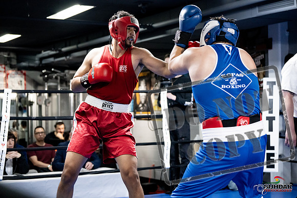 Cougar Boxing -0057