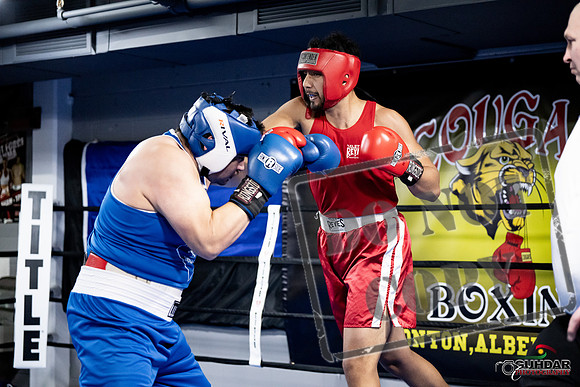 Cougar Boxing -0058