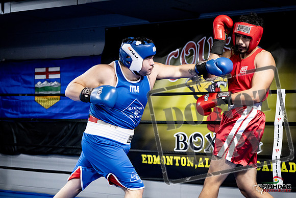 Cougar Boxing -0059