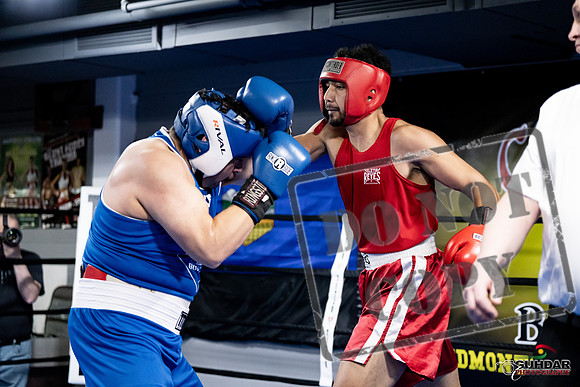 Cougar Boxing -0061