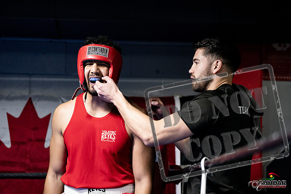 Cougar Boxing -0062