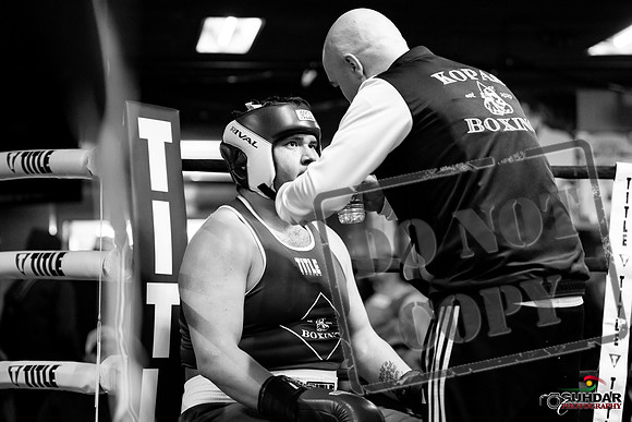 Cougar Boxing -0064