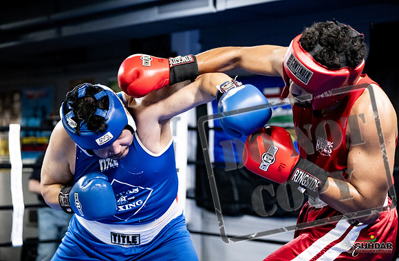 Cougar Boxing -0067