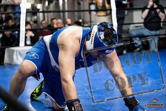 Cougar Boxing -0068