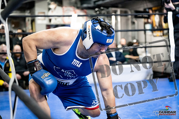 Cougar Boxing -0069