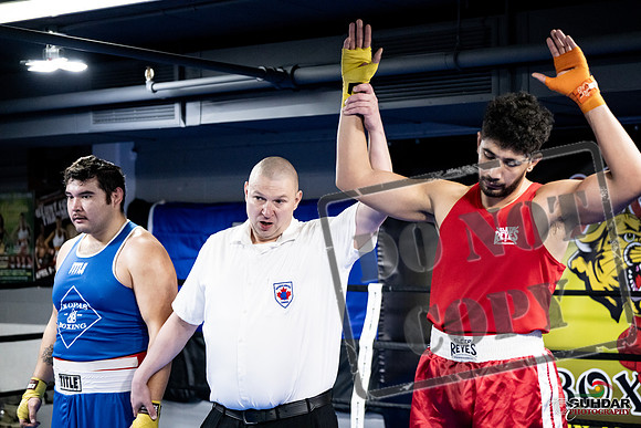 Cougar Boxing -0071